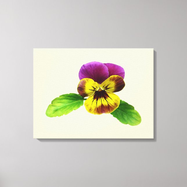 Pansy med välmående Arm Canvastryck (Framsida)
