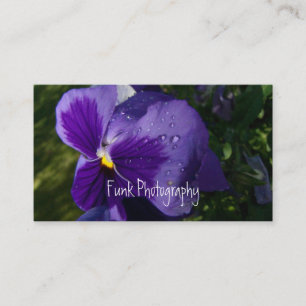 Pansy med vattenliten droppe visitkort