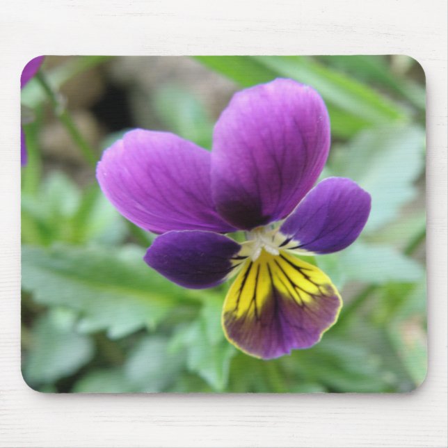 Pansy Mousepad Musmatta (Framsidan)