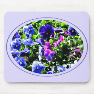 Pansy Musmatta