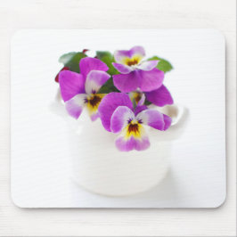pansy musmatta
