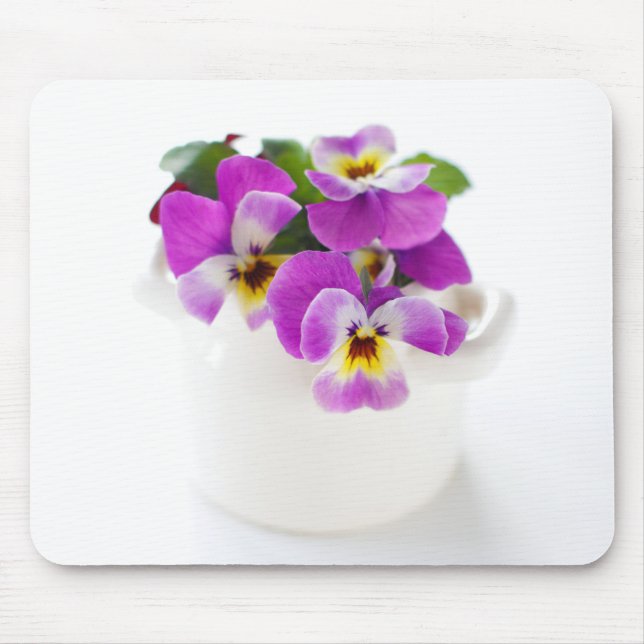 pansy musmatta (Framsidan)