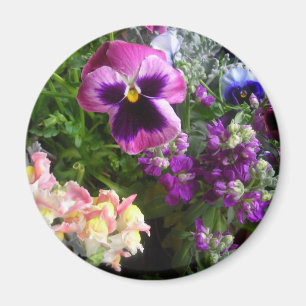 Pansy och kompisar Magnet