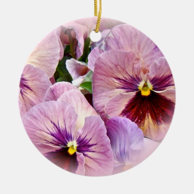 Pansy Ornament - Rosa Lila - Alla tillfällen (Framsidan)