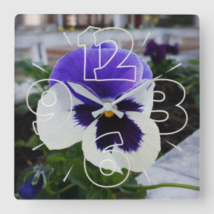 Pansy på sidpromenaden fyrkantig klocka