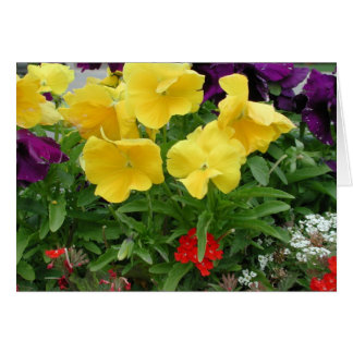 Pansy Pannier Hälsningskort