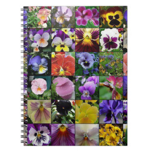 Pansy Pansies Anteckningsbok