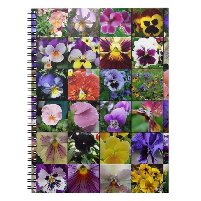 Pansy Pansies Anteckningsbok (Framsidan)