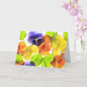 Pansy Party kommer bra Kort