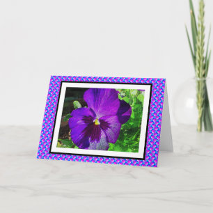 Pansy Pop Kort