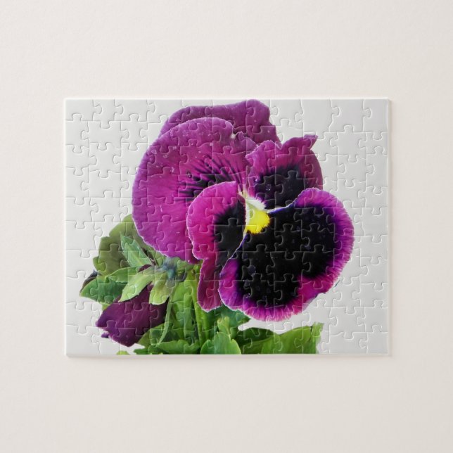 Pansy puzzel med lila pussel (Horisontell)