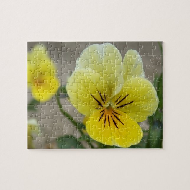 Pansy Puzzle Pussel (Horisontell)