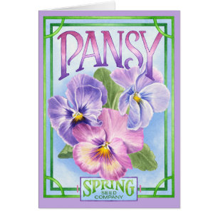 Pansy Seeds - Tomt kort