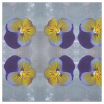 Pansy Söt Vår