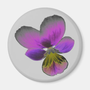 Pansy Vild Mörk Lila Magnet