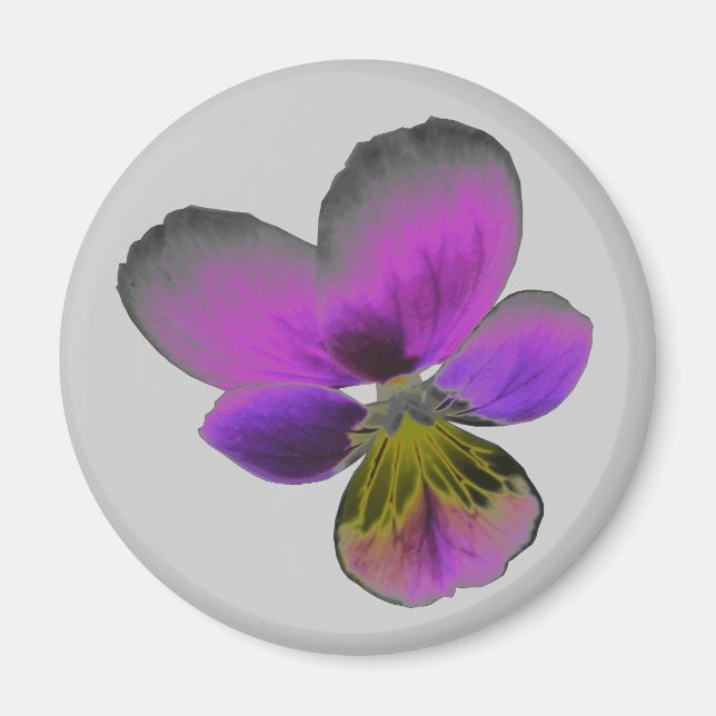 Pansy Vild Mörk Lila Magnet (Framsidan)