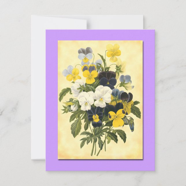 Pansy Violets Blank Botanical Art Cards Kort (Framsida)