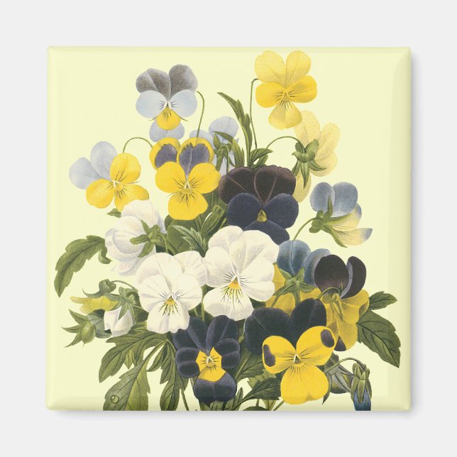 Pansy Violets Botanical Art Magnet (Framsidan)
