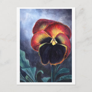 Pansy-vykort Vykort