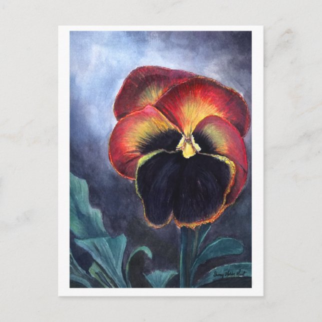 Pansy-vykort Vykort (Framsida)