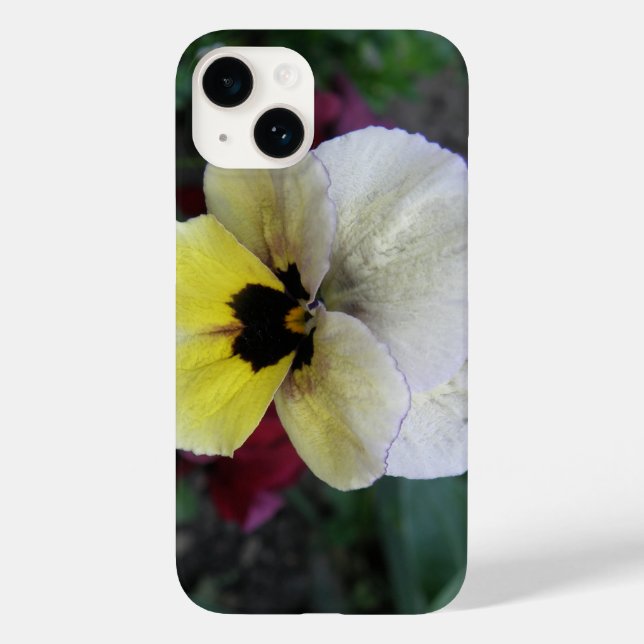Pansy White och Gult (Baksida)
