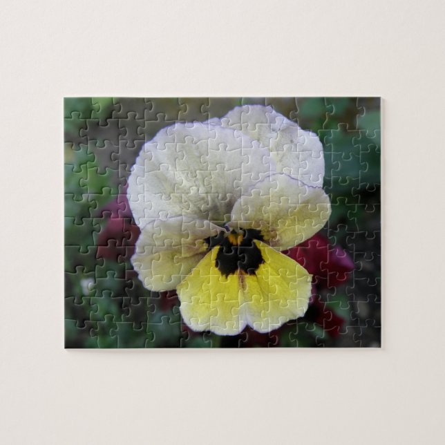 Pansy White och Gult Puzzle Pussel (Horisontell)