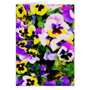 pansyblommor hälsningskort