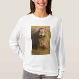 Pantanal, Brasilien, Kapybara, Hydrochoerus T-shirt