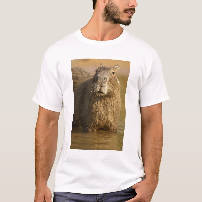 Pantanal, Brasilien, Kapybarer, Hydrochoerus Tee Shirt (Framsida)