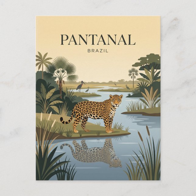 Pantanal Brasilien Vykort (Framsida)