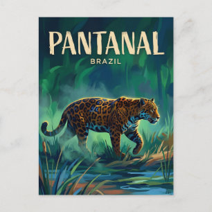 Pantanal Brasilien Vykort