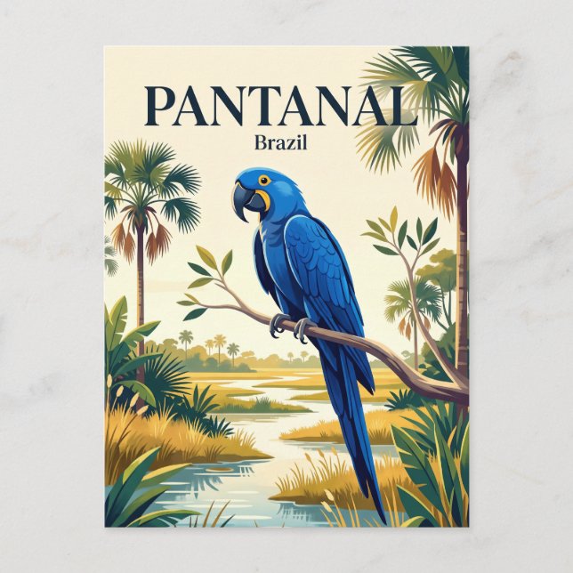 Pantanal Brasilien Vykort (Framsida)