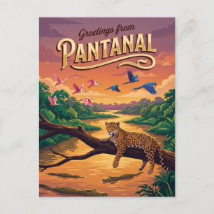 Pantanal Brasilien Vykort
