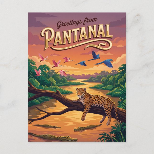 Pantanal Brasilien Vykort (Framsida)