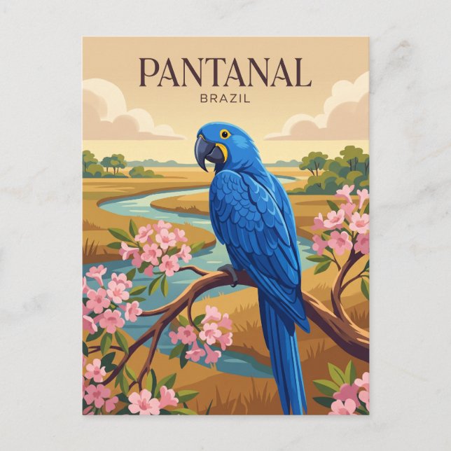 Pantanal Brasilien Vykort (Framsida)
