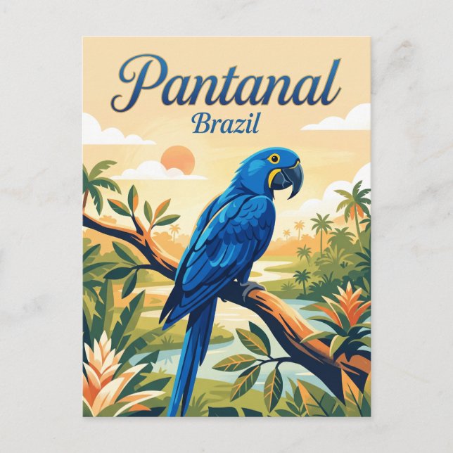 Pantanal Brasilien Vykort (Framsida)