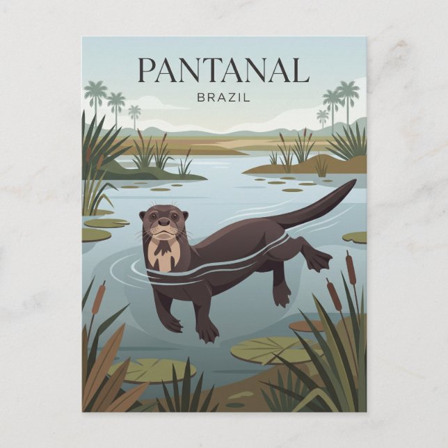 Pantanal Brasilien Vykort (Framsida)