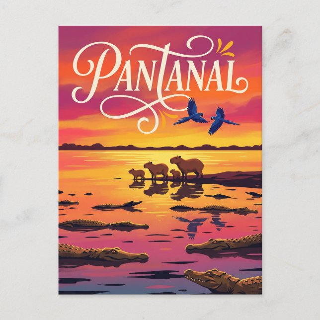 Pantanal Brasilien Vykort (Framsida)