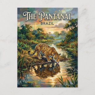 Pantanal våtmarker Brasilien Vykort