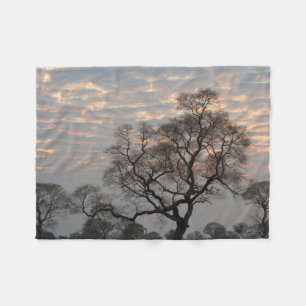 Pantanal våtmarker Sydamerika, Brasilien Fleecefilt