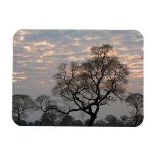 Pantanal våtmarker Sydamerika, Brasilien Magnet