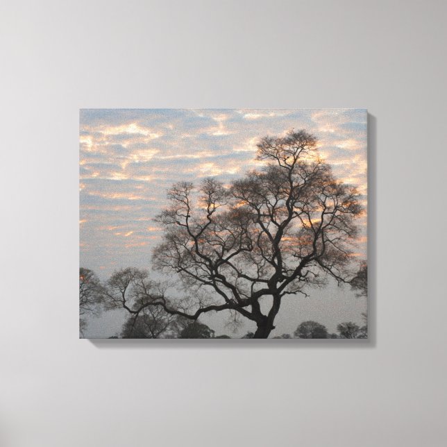 Pantanal Wetlands | Sydamerika, Brasilien Canvastryck (Framsida)