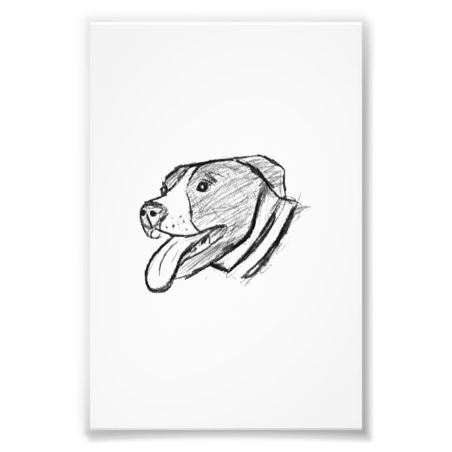 Pantbull hand plockade-foto-hund-älskare poster (Framsidan)