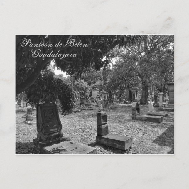 Panteón de Belén Blanco y Negro Vykort (Framsida)
