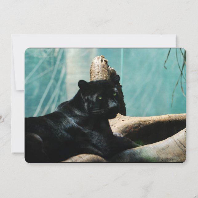 Panter med Piercing Ögon Inbjudningar (Framsida)