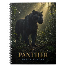 Panter Tät Djungel Vilda Djur DJUR