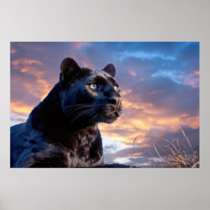 Panther Animal Nature Majestic Vild Poster