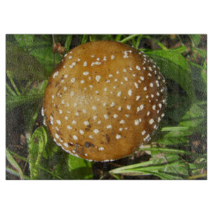 Panther Cap Mushroom Glass Chopping Board