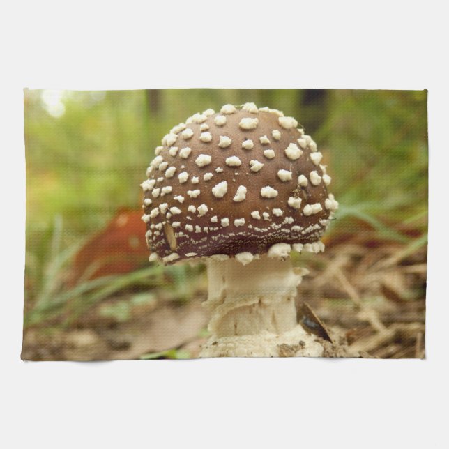 Panther Cap Mushroom Tea Towel Kökshandduk (Horisontell)