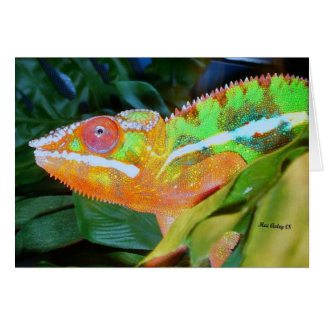 Panther Chameleon Hälsningskort